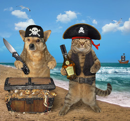 The cat filibuster with a bottle of rum and the dog pirate with a big knife are next to a chest full of treasures on the seashore.
