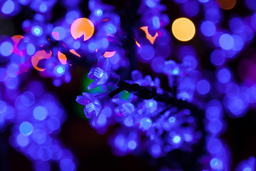 Decorative electrics tree bulbs blue flowers shines at night