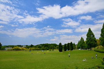 休日の公園で遊ぶ人々