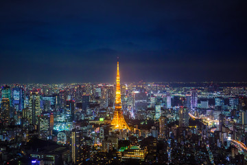 Fototapeta na wymiar The great night view of the Tokyo cityscape