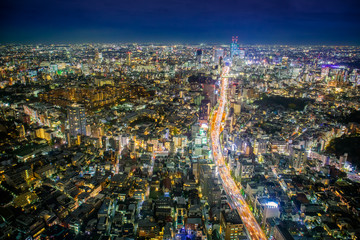 Fototapeta na wymiar The great night view of the Tokyo cityscape