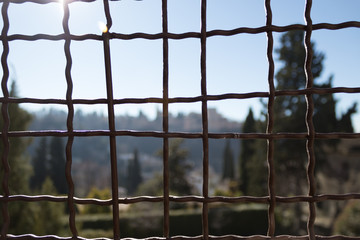 View of a fence