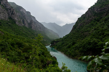 Fototapeta na wymiar Tara River Between Mountains