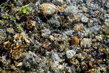 Mountain stream bed with fresh water .