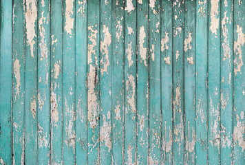 Old wood, green, empty for background
