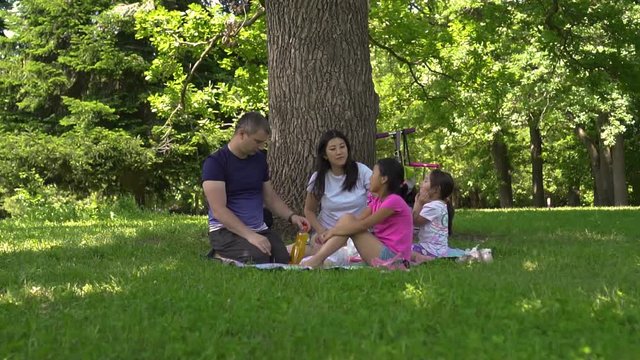 young multiracial family at a park picnic, day