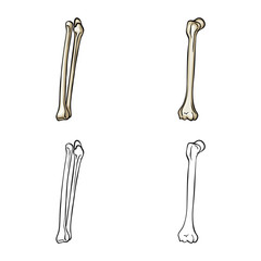 Vector design of medicine and clinic symbol. Set of medicine and medical stock vector illustration.