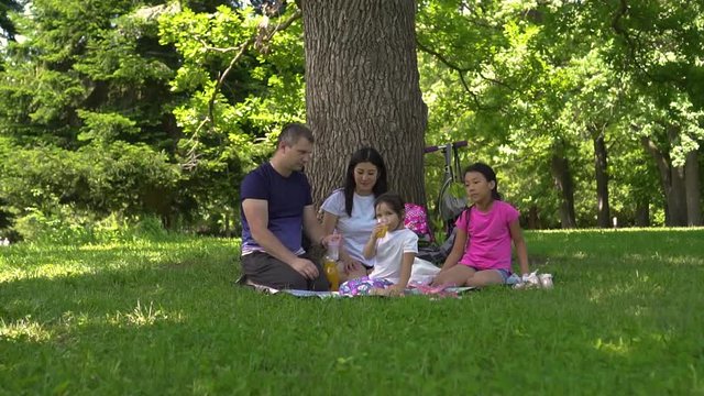 young multiracial family at a park picnic, day