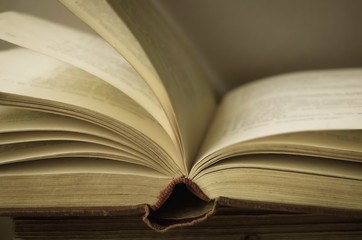 yellowed pages of an open vintage book close up