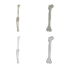 Vector illustration of medicine and clinic icon. Set of medicine and medical stock vector illustration.