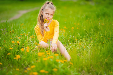 field with dandelions