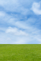 青空と芝生