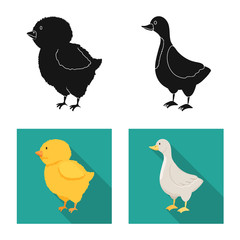 Vector illustration of breeding and kitchen  logo. Collection of breeding and organic  vector icon for stock.