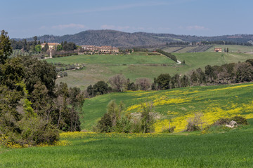 Fototapeta na wymiar Farmlands of tuscany italy