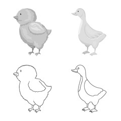 Isolated object of breeding and kitchen  sign. Collection of breeding and organic  vector icon for stock.