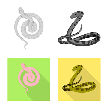 Vector design of mammal and danger logo. Set of mammal and medicine stock vector illustration.