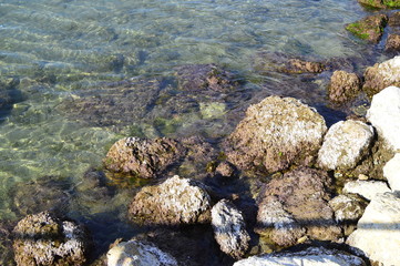 stones in the water