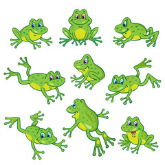 Set of nine funny frogs in various poses. In cartoon style. Isolated on white background.