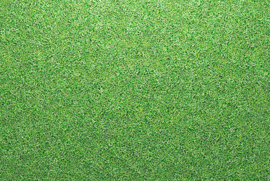 Soccer, green grass, 3d rendering