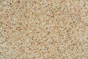 Fototapeta na wymiar background of roasted sesame seeds