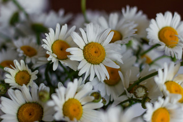Obraz premium bouquet of yellow flowers