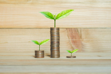 Fototapeta na wymiar coins stack on wood table with green plant growing on. money saving business finance success wealth investment budget concept. startup plan. ESG.