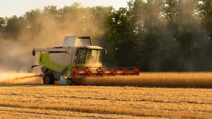 Combine harvester harvests wheat at sunset.	