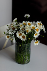 Fototapeta na wymiar bouquet of daisies in a vase in the interior