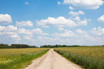 Rural sand road through summer meadow. Blue sky sunny day landscape.