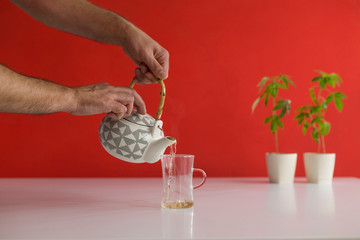 White table with Marijuana plant in pottery. Hand pouring hot CBD tea in to glass.