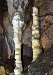 Bear cave from Chiscau village Bihor county - Romania