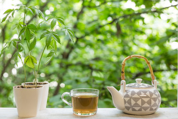 Hot CBD tea and teapot in window.