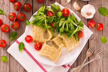 Maultaschen - swabian filled pasta ( ravioli ).