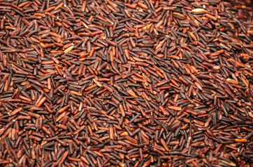 Seed of Hom Nil rice in market.