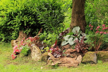 stumpery garden