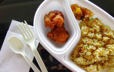 Fried rice with chicken