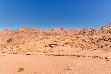 desert landscape, plain and mountains of red sandstone covered with sparse vegetation