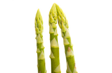 green asparagus isolated