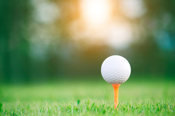 golf ball on tee in a beautiful golf course with morning sunshine