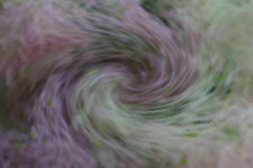  The motley background consists of a blur with a twist.