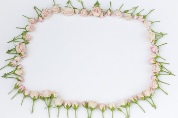 delicate pink roses laid out in a circle on a white background