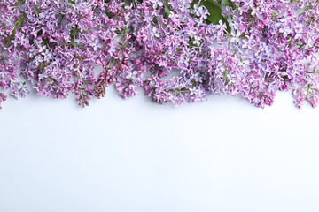 Blossoming lilac on light background, top view. Spring flowers