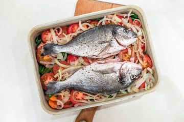 Two raw fish, prepared for baking on vegetable cushion in metal baking tray on white background.