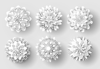 Flowers made of paper vector, isolated set of floral elements with ornaments, rounded shapes of plants with petals and foliage, shades of decoration