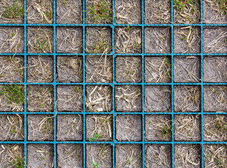 flowerbed with blue checkered partitions with dry and green grass in gray ground close-up. view from above. rough surface texture