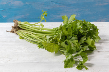 close up of Fresh celery plant on wooden background
