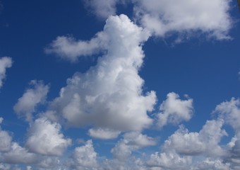 Naklejka na ściany i meble Cumulus Clouds on a Blue Sky