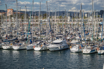yachts in the marina
