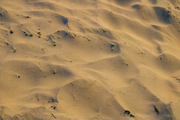 golden wavy sand background