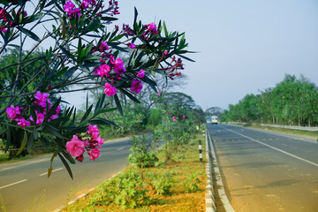 Fototapeta na wymiar National highway of India
